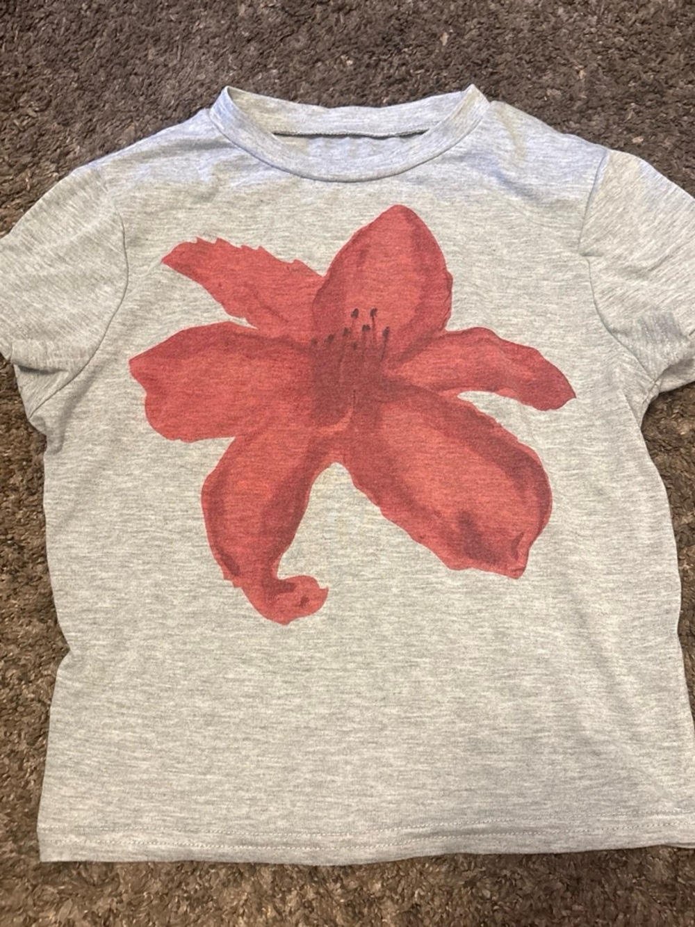 Women's Light Gray Crop Top with Red Floral Graphic